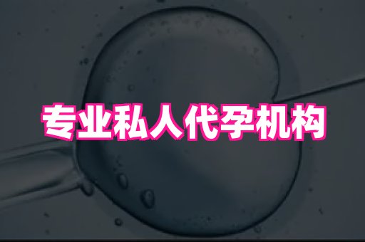 香港助孕网 2