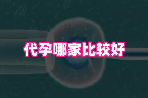 香港助孕网 3